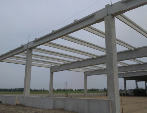 KWS Bečej Seed Plant grows quickly